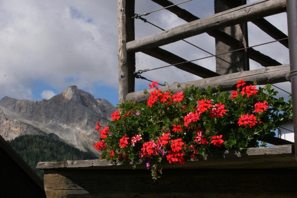 Albergo Diffuso Sauris In Sauris Di Sopra Exterior foto